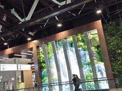 -谢列梅捷沃国际机场