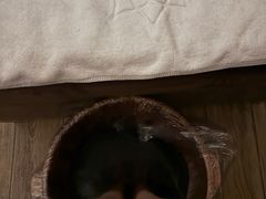 -SPA·印象足道养生(大运河度假区四望亭店)