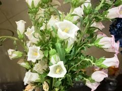 -顺福苑·新派淮扬菜