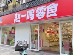 -赵一鸣零食(江苏南京福园街店)