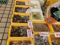 -蛇口市场