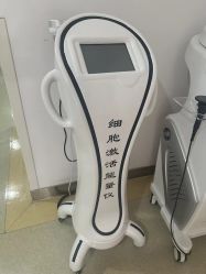 -大连新百佳妇儿医院