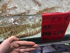 -渔傅·蓝海岸霞浦海鲜(正祥店)