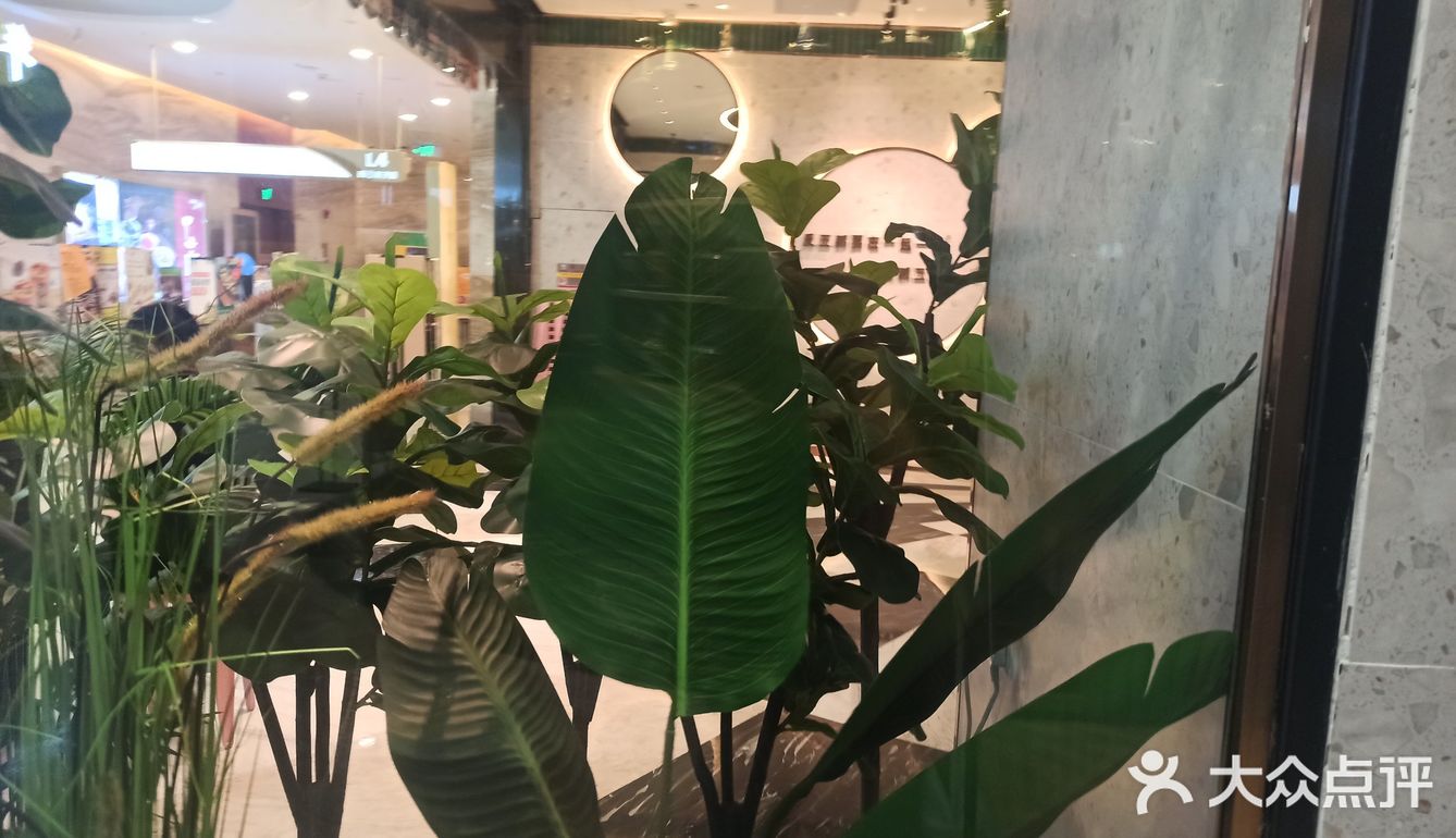 菜品有火锅和炒菜一类的