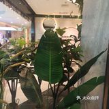 菜品有火锅和炒菜一类的