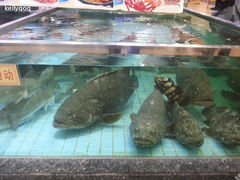 thumbCASDZ74G-渔民新村(番禺总店)