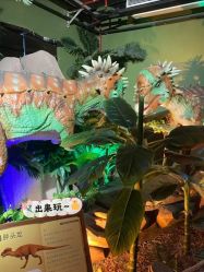 -恐龙探索乐园(磁器口店)