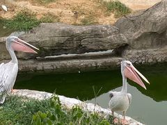-杭州野生动物世界
