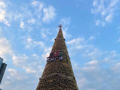 -金汇酒楼(中山东区店)