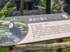 -武汉动物园