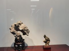 -苏州艺都古玩花鸟市场
