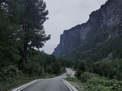 -重庆睡佛山森林公园