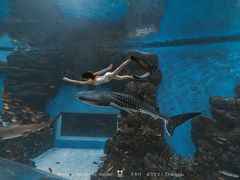 -成都浩海立方海洋公园