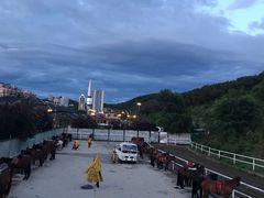 -鼎盛王朝康熙大典实景演出