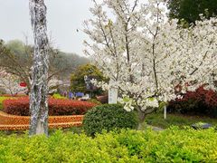 -UNIUNI(凯瑟琳广场店)