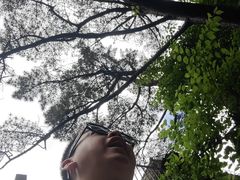 -黄山光明顶山庄