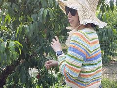 -老袁家蜜桃农场·阳山水蜜桃