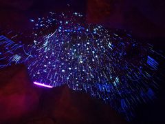 -夜间野生动物园