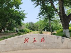 -长白岛森林公园