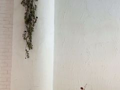 -靓蛙馆