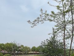 -花博汇(知音花月夜)