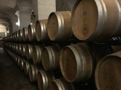 -北京张裕爱斐堡酒庄