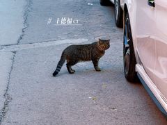 -碑林公园
