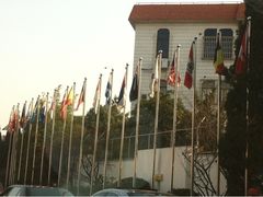 -宋庆龄幼儿园(虹梅路)