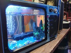 -西西里轰趴日租聚会别墅·团建拓展