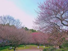 -杭州植物园