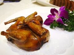 -一品粤珍轩(吴中路店)