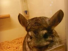 -龙猫仔乐园(惠福东路店)