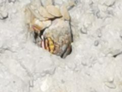 -北海金海湾红树林生态旅游区