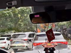 -上海春城-一期