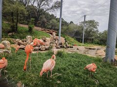 -沈阳森林动物园