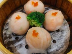 -北海渔村酒楼·粤菜海鲜点心(新华店)