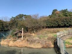 -宁波野生动物园