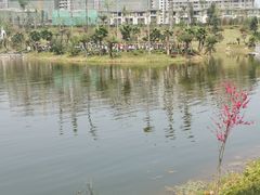 -枫香湖儿童公园