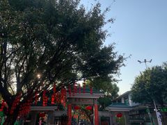 -荔湾湖公园