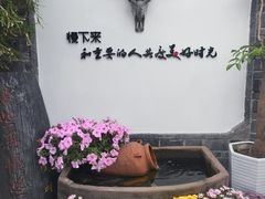 -慢丽江·云南野生菌土鸡锅(付家庄店)