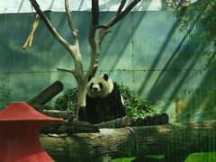 -鄂尔多斯野生动物园