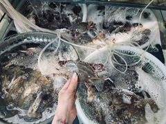 -红星农贸市场(红星东路店)