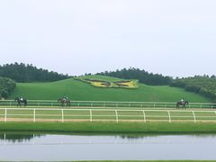 -迪茵湖田家舍生态农场