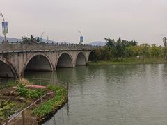 -三垟湿地