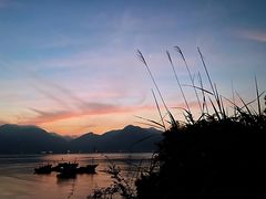 -北岐滩涂