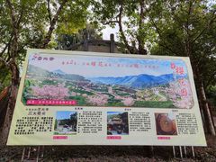 -灵光寺