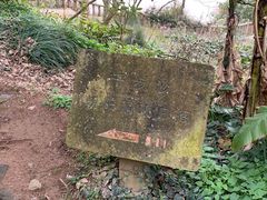 -普陀山风景名胜区-千步大沙