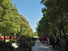 -溱湖国家湿地公园