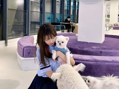 -怪兽屋·羊驼·猫咖·狗咖(俊华广场店)