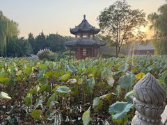 -莲池书院博物馆